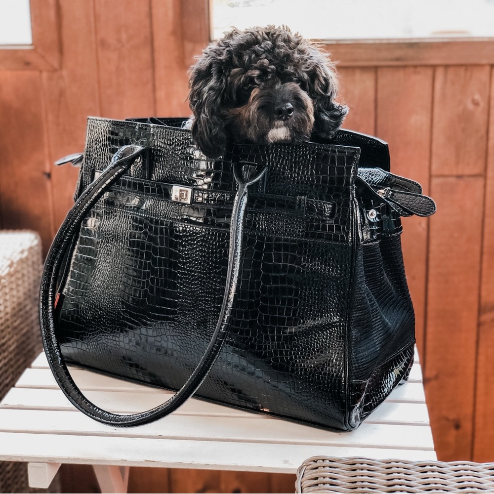 Bark n bag dog carrier